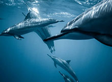 足球篮球比分-众多球迷接机U23国足 李昊：中国足球仍需努力